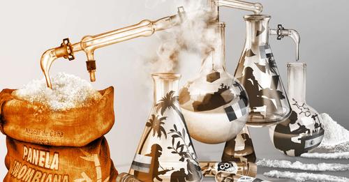 Arnaques covid et cocaïne - la chute du cartel du sucre