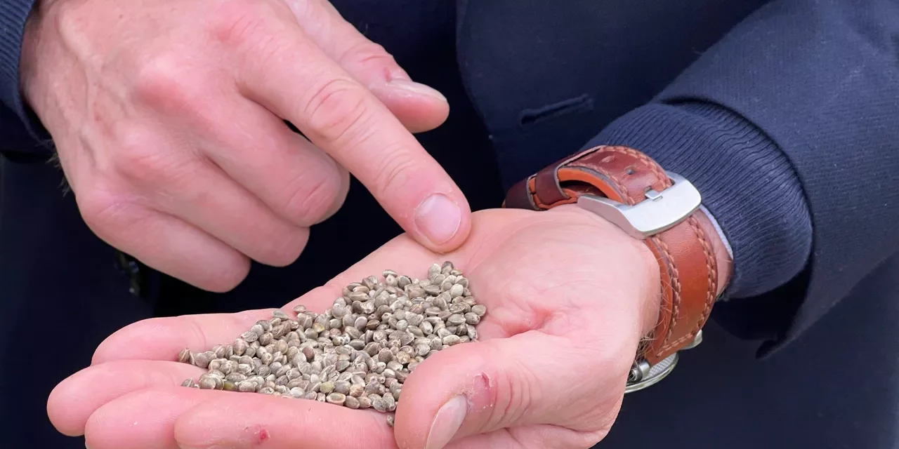 Le chanvre pour lutter contre les PFAS