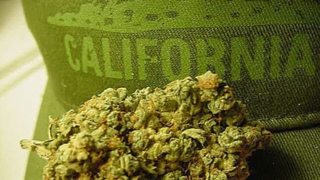 Les législateurs californiens approuvent la légalisation des cafés à cannabis