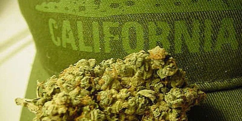 Les législateurs californiens approuvent la légalisation des cafés à cannabis