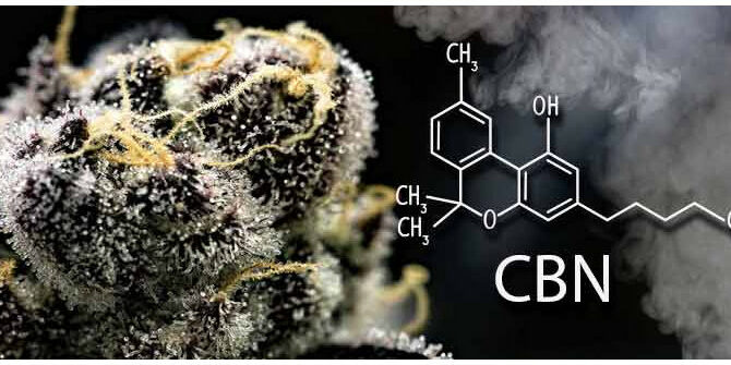 Les propriétés neuroprotectrices du cannabis, un espoir pour Alzheimer et Parkinson-1 Les propriétés neuroprotectrices du cannabis, un espoir pour Alzheimer et Parkinson