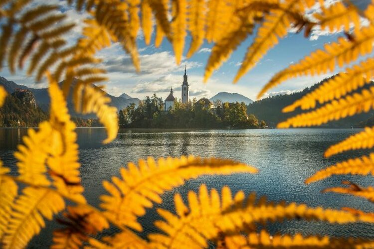 Référendum - Cannabis - Slovénie