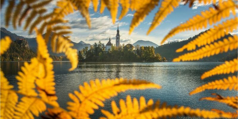 Référendum – Cannabis – Slovénie Référendum - Cannabis - Slovénie