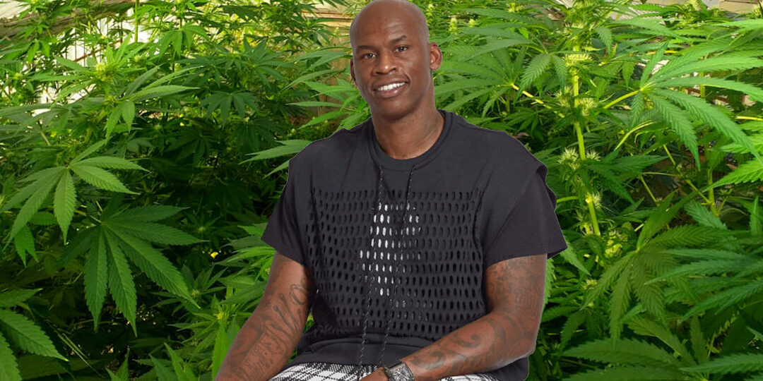 cannabis et médecine sportive aux USA