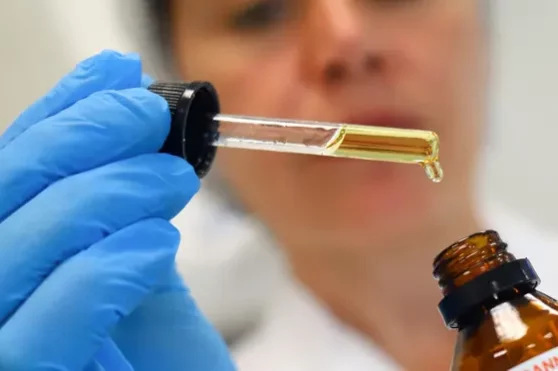 Cannabis médical et conduite: étude reportée en Victoria