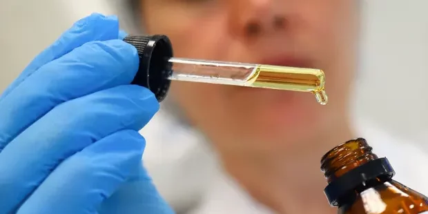 Cannabis médical et conduite: étude reportée en Victoria