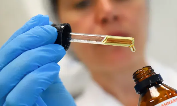 Cannabis médical et conduite: étude reportée en Victoria