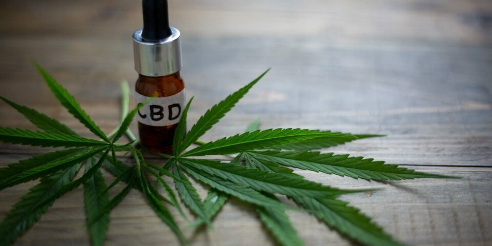 Alzheimer cannabis CBD