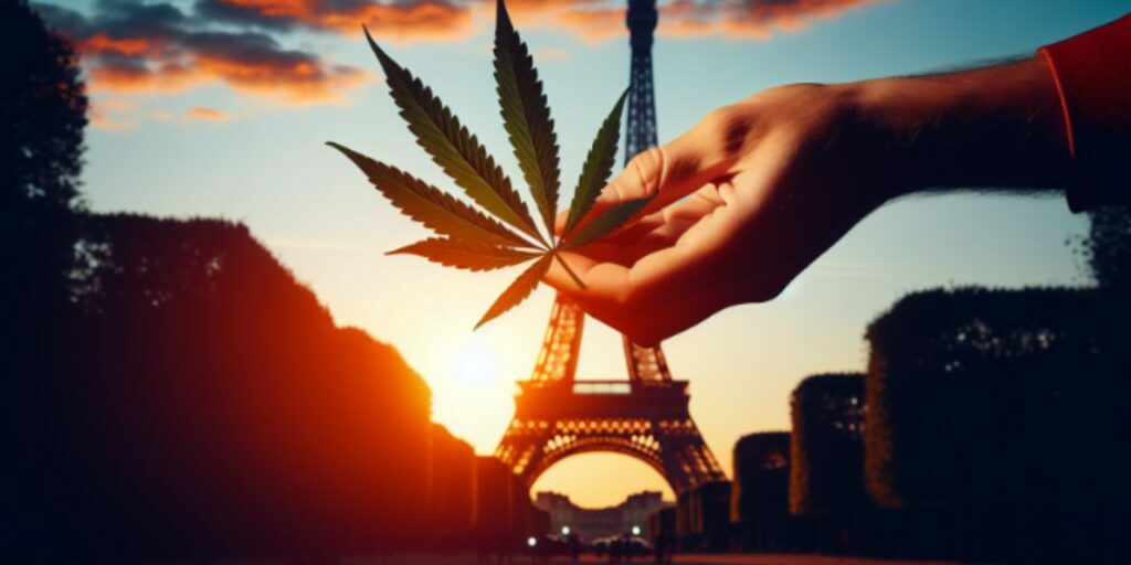 Cannabis : la France face à son immobilisme