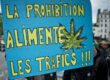 Cannabis - prohibition - légalisation