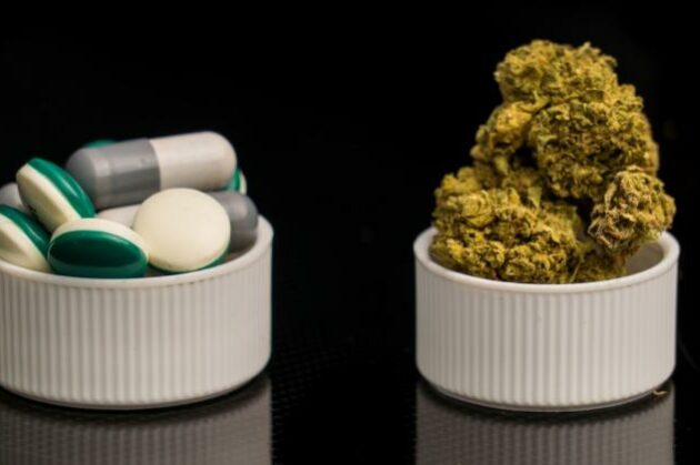 Du cannabis pour combattre les opiacés