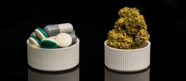 Du cannabis pour combattre les opiacés