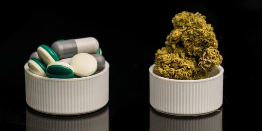 Du cannabis pour combattre les opiacés