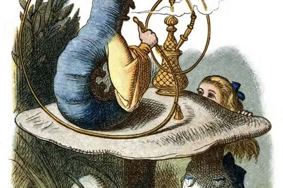 La drogue, héroïne de la littérature