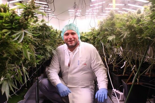 Cannabis médical : le modèle tchèque montre la voie