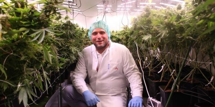 Cannabis médical : le modèle tchèque montre la voie