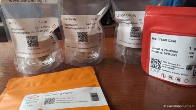 Expérimentation néerlandaise - un tournant décisif pour la politique du cannabis