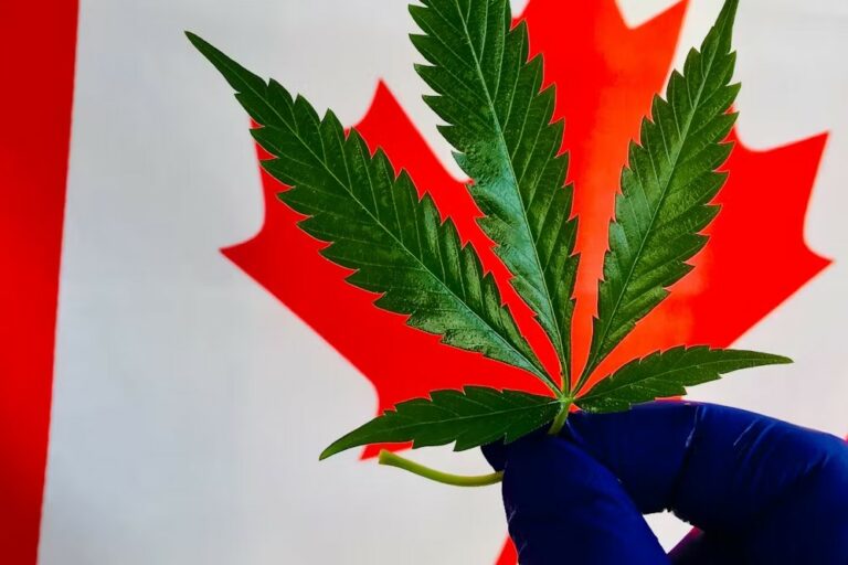 La légalisation du cannabis au Canada