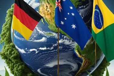 Le cannabis dans un contexte global