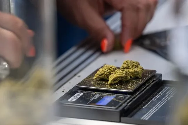 Projet pilote de distribution de cannabis à Berlin