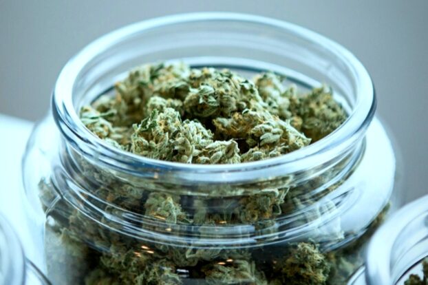 Les utilisateurs de cannabis présentent moins de déclin cognitif