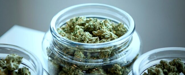 Les utilisateurs de cannabis présentent moins de déclin cognitif