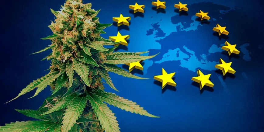 Cannabis médical en Espagne