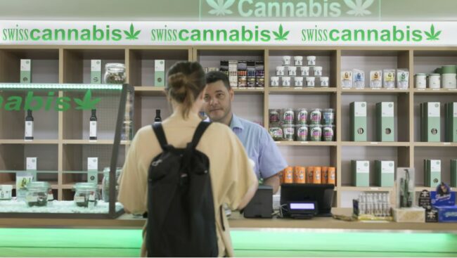 Cannabis - pourquoi la France doit légaliser