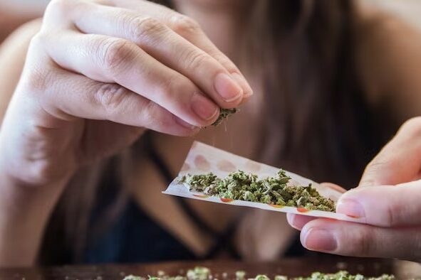 Consommation de Cannabis - rdr