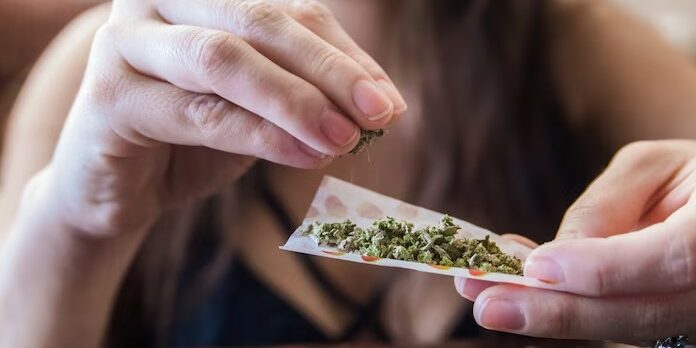 Consommation de Cannabis - rdr