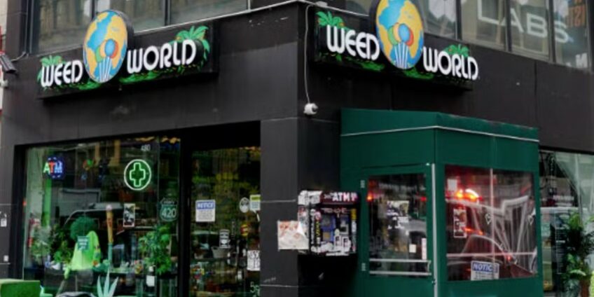 New York - cannabis -légalisation