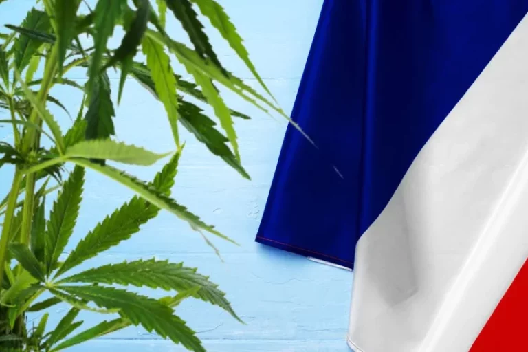 Prohibition du cannabis - une politique criminogène et irresponsable