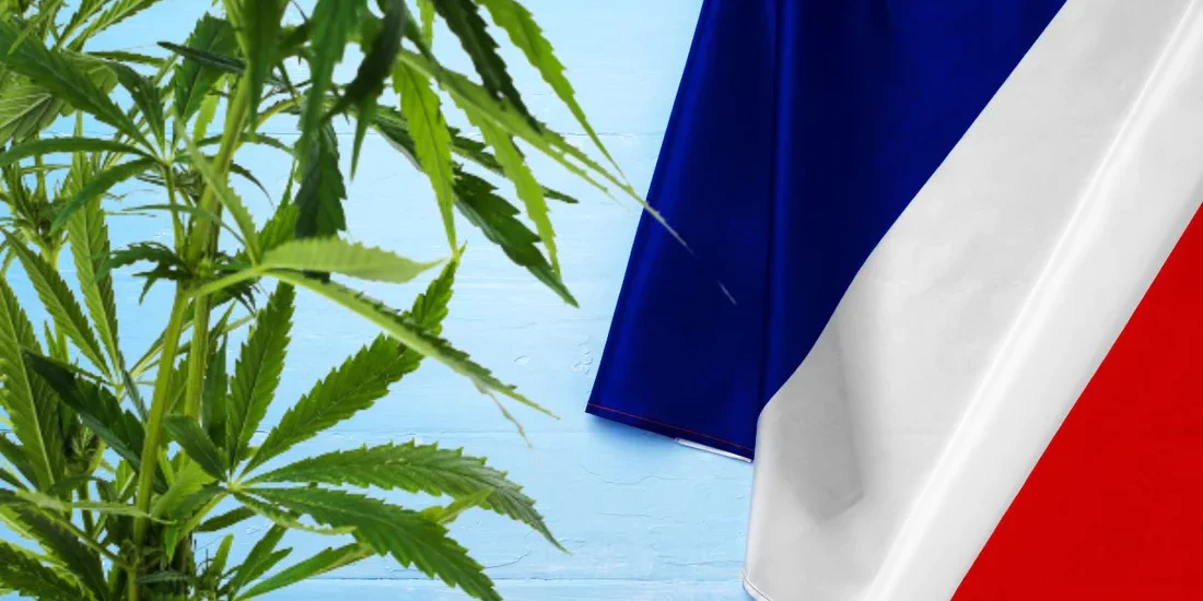 Prohibition du cannabis - une politique criminogène et irresponsable