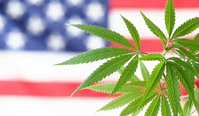 USA - reclassement du cannabis - Appel interlocutoire