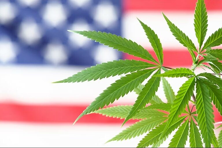 USA - reclassement du cannabis - Appel interlocutoire