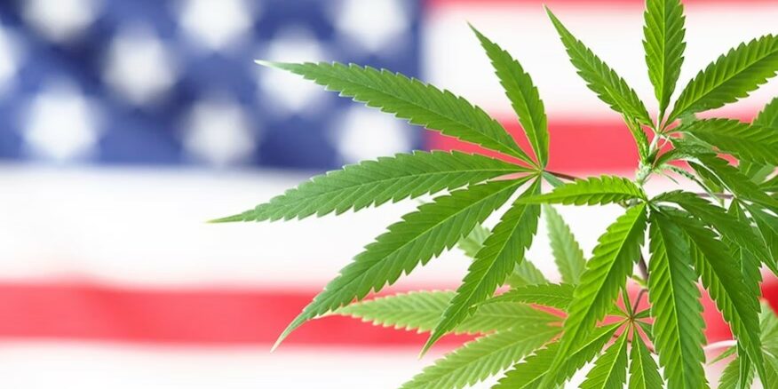 USA - reclassement du cannabis - Appel interlocutoire