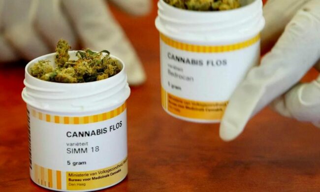 cannabis-médical-Allemagne
