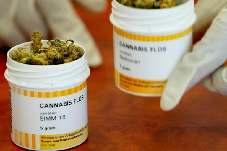 cannabis-médical-Allemagne