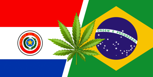 Paraguay - légalisation du cannabis