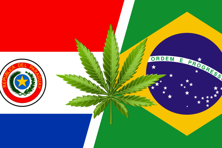 Paraguay - légalisation du cannabis