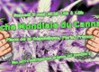 Marche Mondiale du Cannabis - Paris 2025