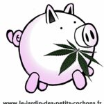 Le jardin des Petits Cochons