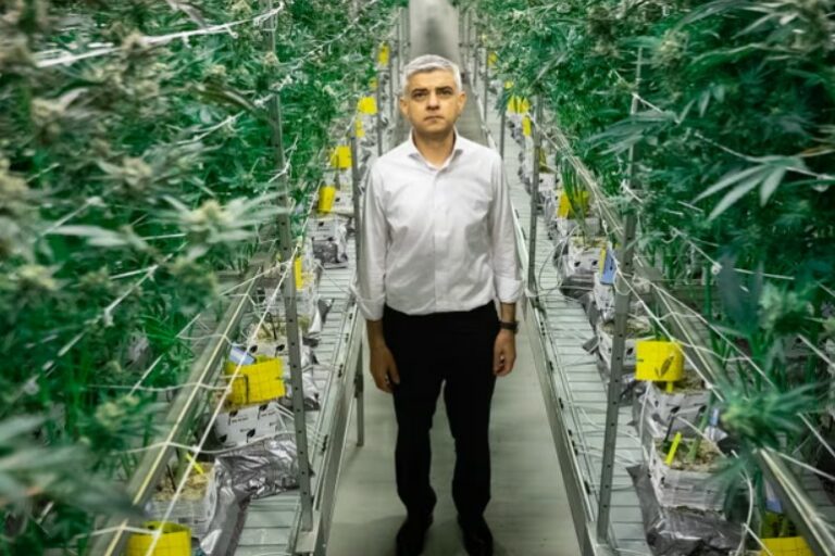 Cannabis - Londre ouvre les yeux