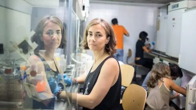 Cannabis médical - Cristina Sanchez - Cancer