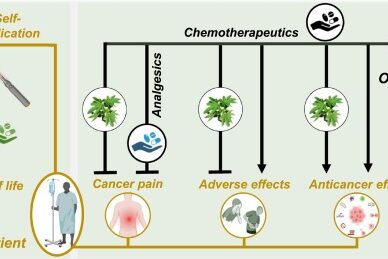 Cannabis médical - traitement cancer