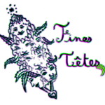 Fines Têtes