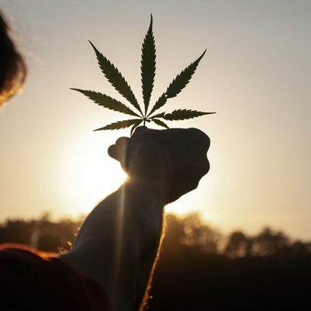 Cannabis la peur doit changer de camp