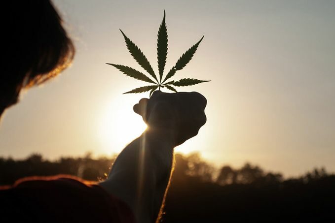 Cannabis la peur doit changer de camp