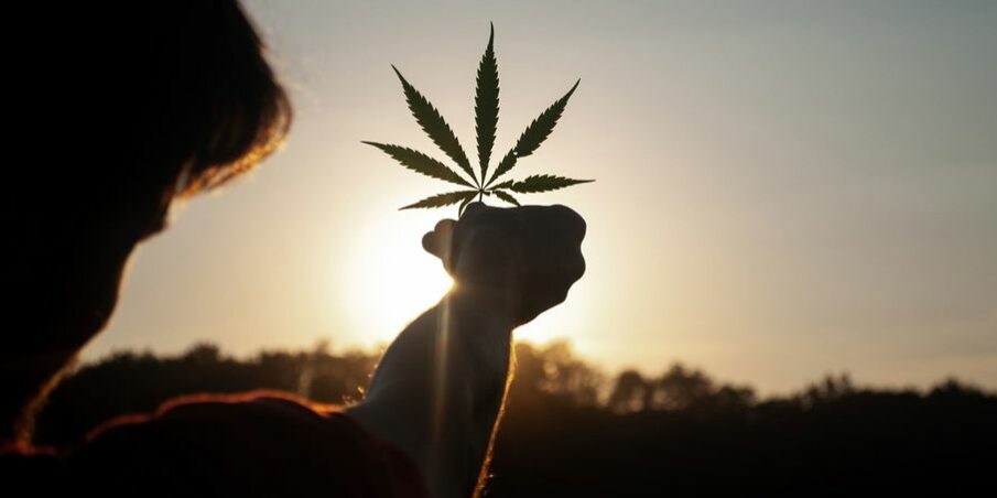 Cannabis la peur doit changer de camp