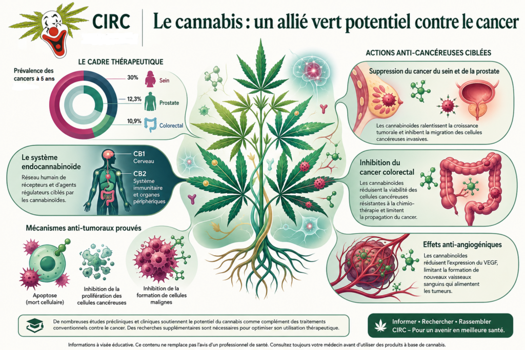 Cannabis Cancer 